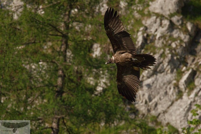 IMG_5495_DxO_DxO