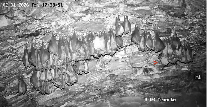 2026-01-02 ab 17.00_3 ungeeigneter Hangplatz, Hufi rutscht weg