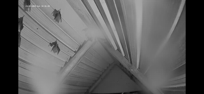 Screenshot_20250524_183811_Chrome