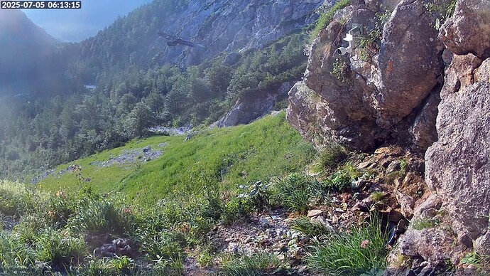 Bildschirmfoto vom 2025-07-05 06-13-48