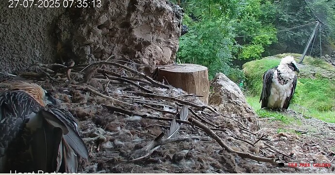 Sonntag morgen 27.07.25