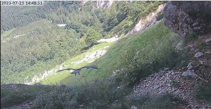 Screenshot_20230723_144936_Samsung Internet