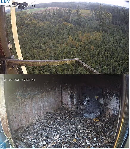 Snap_2023.09.22_18h25m49s_006_