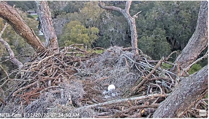 Screenshot 2023-12-20 133717