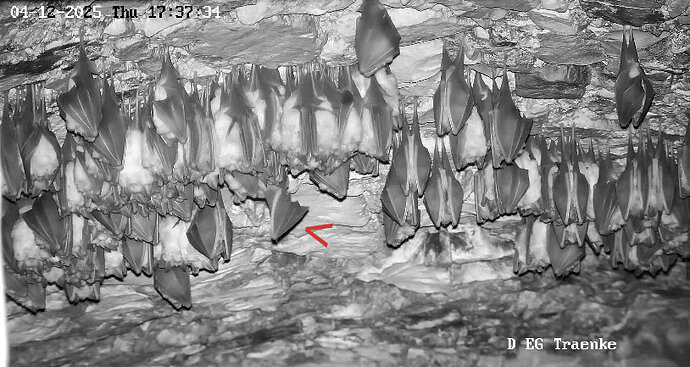 6 Vollbildaufzeichnung 04.12.2025 173746