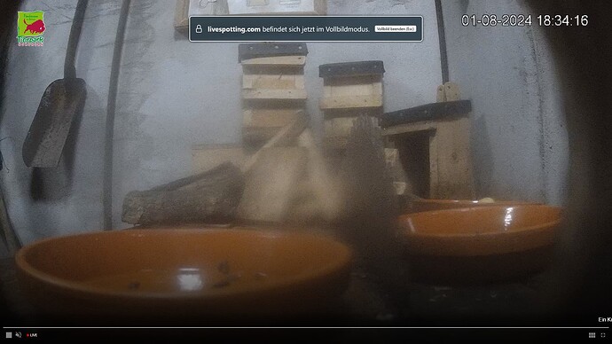 Screenshot (441)