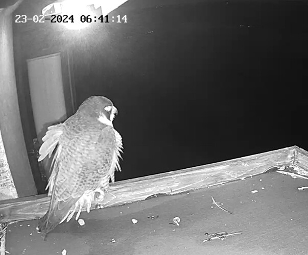 Screenshot_20240223_064004_Samsung Internet