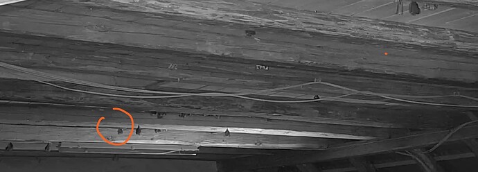 Screenshot (197)