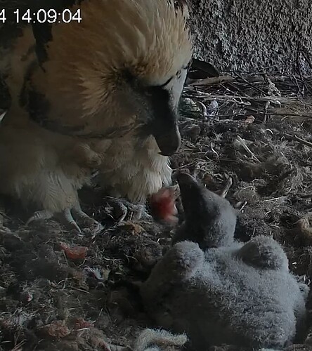 Screenshot_20240325-140916~2