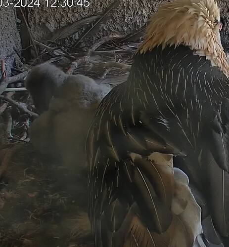 Screenshot_20240325-123057~2