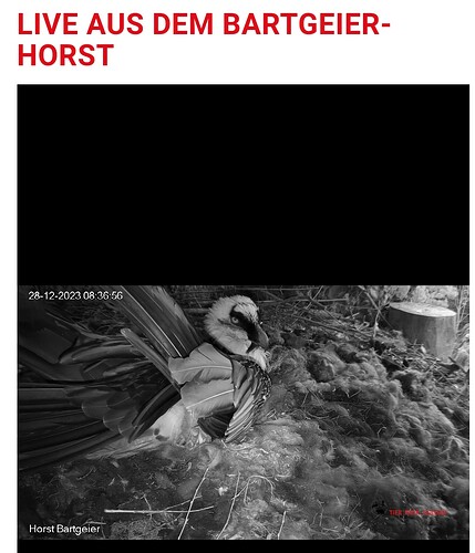 Screenshot_20231228_083708_Samsung Internet