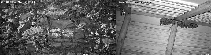 2026-02-26_4 ab 19.00 Vergleich Keller WG