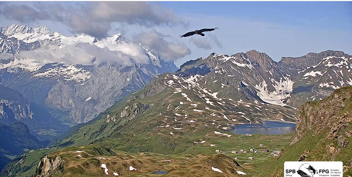 Fliegen 14.06.26