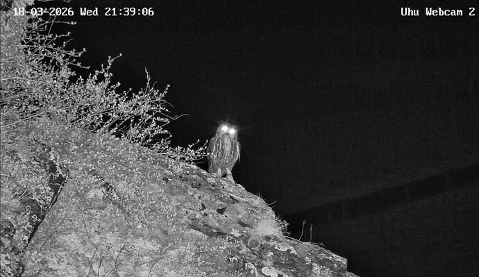 Screenshot_20260318_215135_YouTube