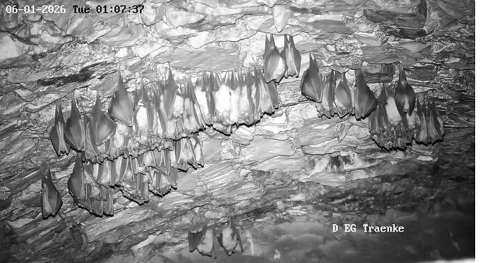 2026-01-05_10 ab 23.00 erneute Kugelbildung 2