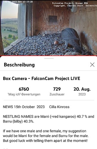 Screenshot_20231015_101954_YouTube
