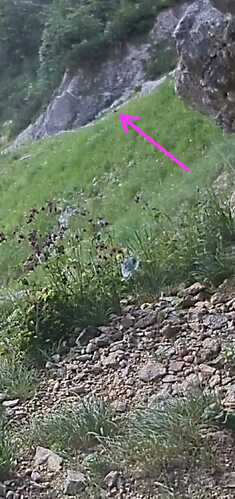 IMG-20230707-WA0001