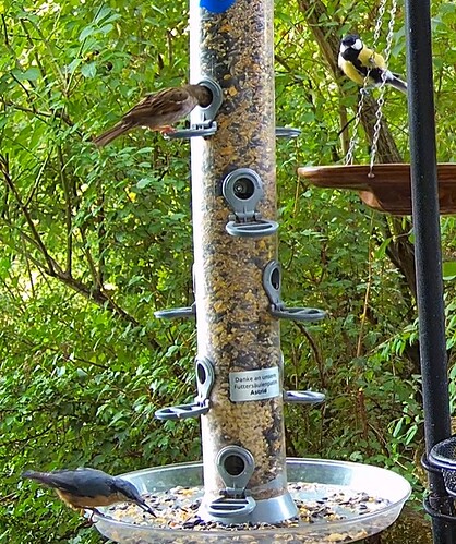 Kleiber, Spatz, Kohli 30.07.25