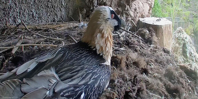 Screenshot_2026-01-30-13-23-32-854_com.android.chrome~2