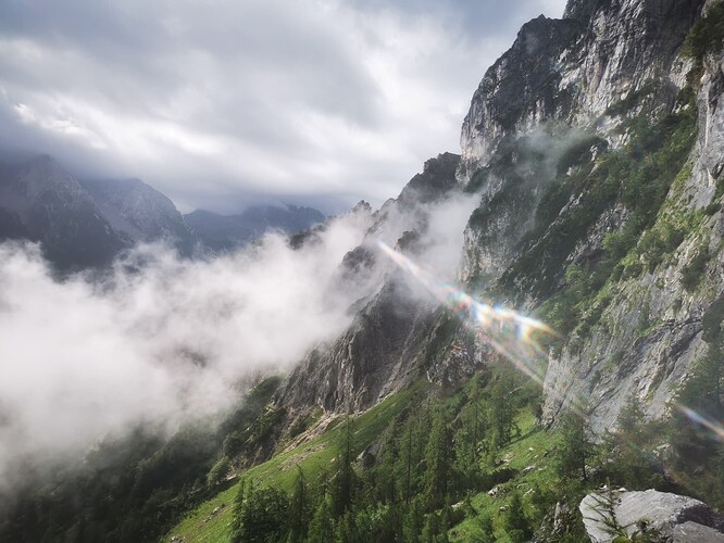 IMG_20230810_100533_resized_20230810_082850415