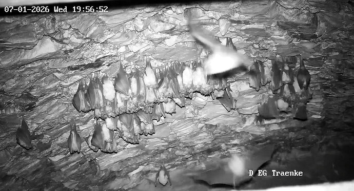 2026-01-07_19.55 Winteraktivitäten 2