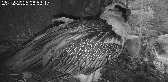 M schläfrig 1 26.12.25