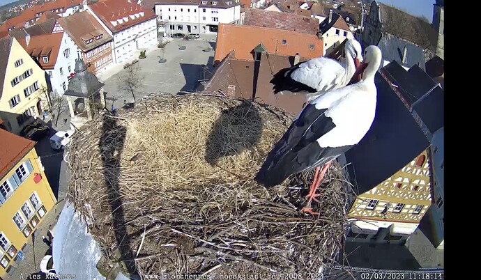 Bild