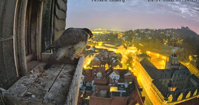 Screenshot_2026-01-24-07-18-29-600_com.android.chrome