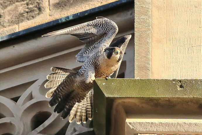 Wanda Lockerungsübung 1a