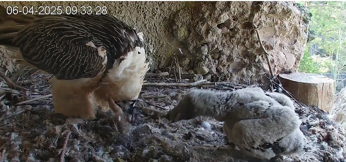 Frühstück 06.04.25