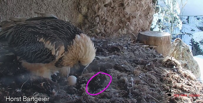 Screenshot_20260106-110128~3