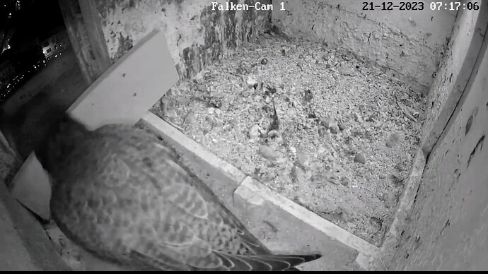 Screenshot_2023-12-21-07-17-23-859_com.android.chrome