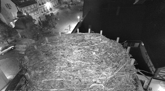 Screenshot_20240912-223611_DuckDuckGo