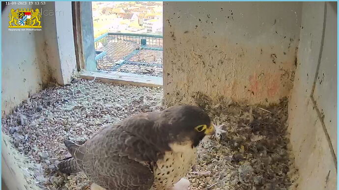 Snap_2023.04.11_19h14m19s_004_