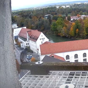 Snap_2024.10.13_11h18m04s_002_