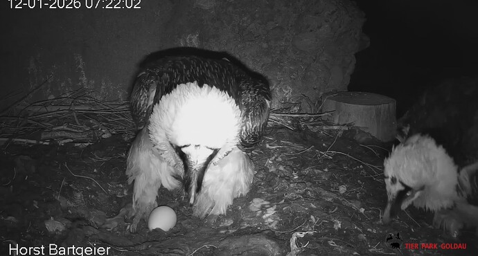 Schichtwechsel 12.01.26