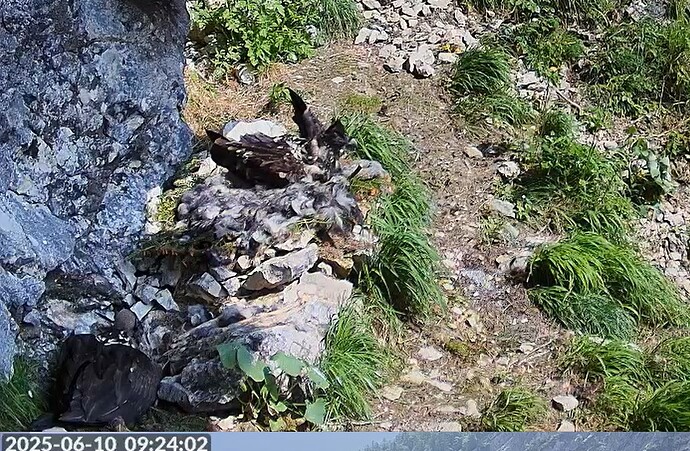 Sonnenbad L. 10.06.25