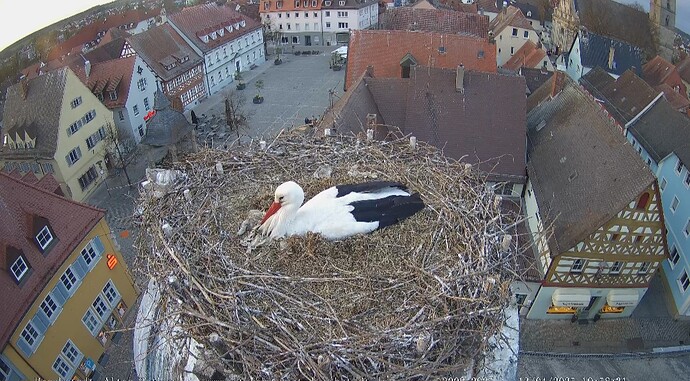 Screenshot_20250413_195854_Chrome