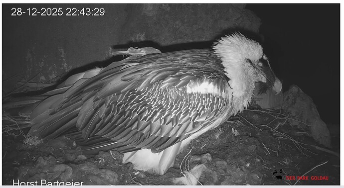 Screenshot_20251228-224433~2