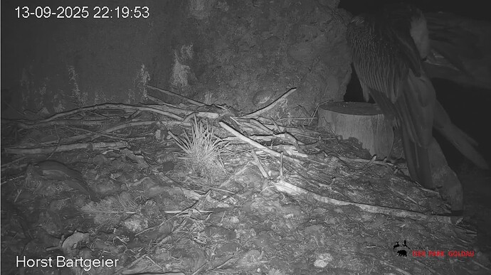 Screenshot_20250913-222102~2