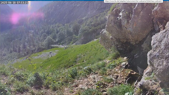 Warmer Bergtag 18.06.25