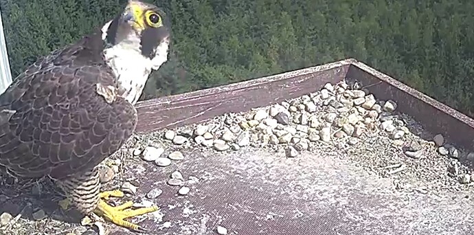 Screenshot_20240723-160008~2