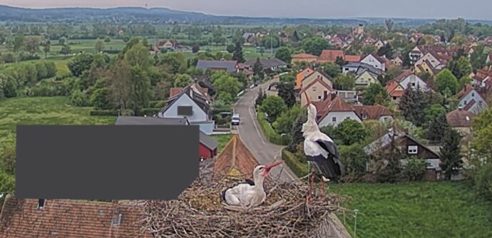 Screenshot (191)