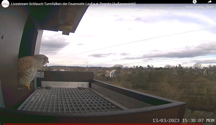 Snap_2023.03.13_16h12m15s_038_