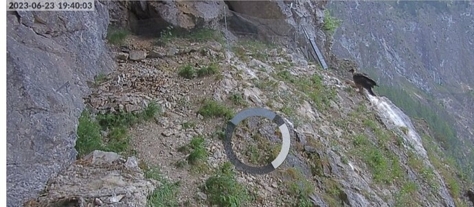 Screenshot_20230623_194459_Samsung Internet