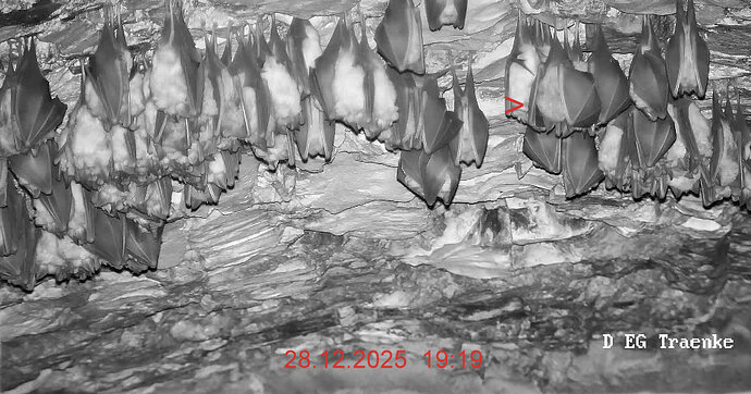 2025-12-28 ab 19.00_1