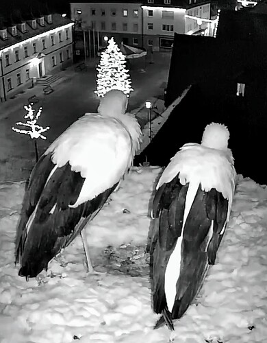 Screenshot_2023-12-03-20-28-37-962_com.android.chrome