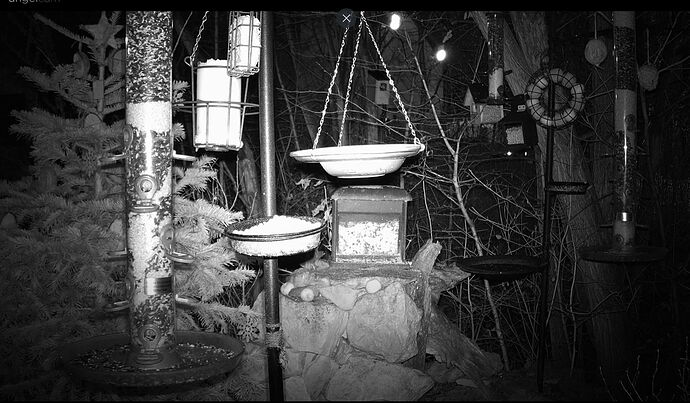 Snap_2022.12.28_07h26m16s_002_