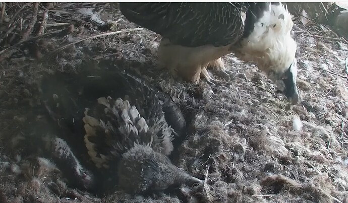 Nicht stören 1 07.05.24