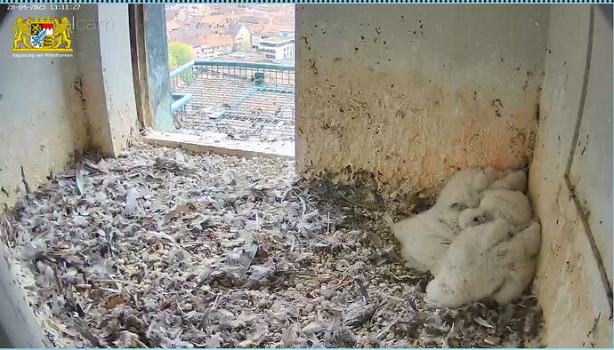 Snap_2023.04.20_13h11m56s_019_